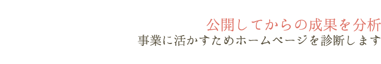 公開してからの成果を分析。事業に活かすためホームページを診断します。